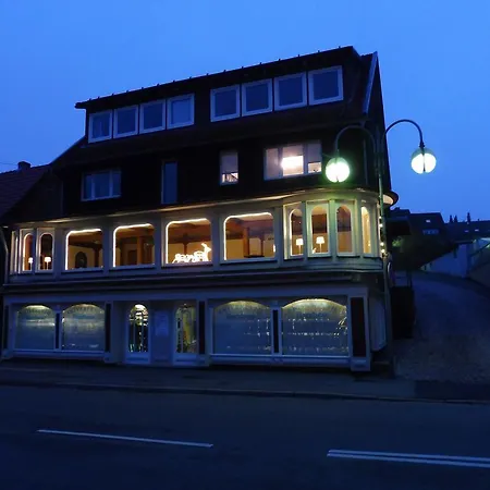 Ferienwohnung Harzhexe *